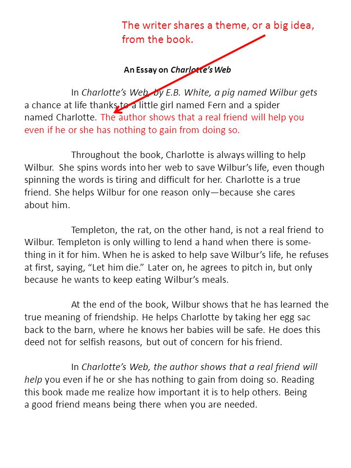 What is the meaning of friendship essay